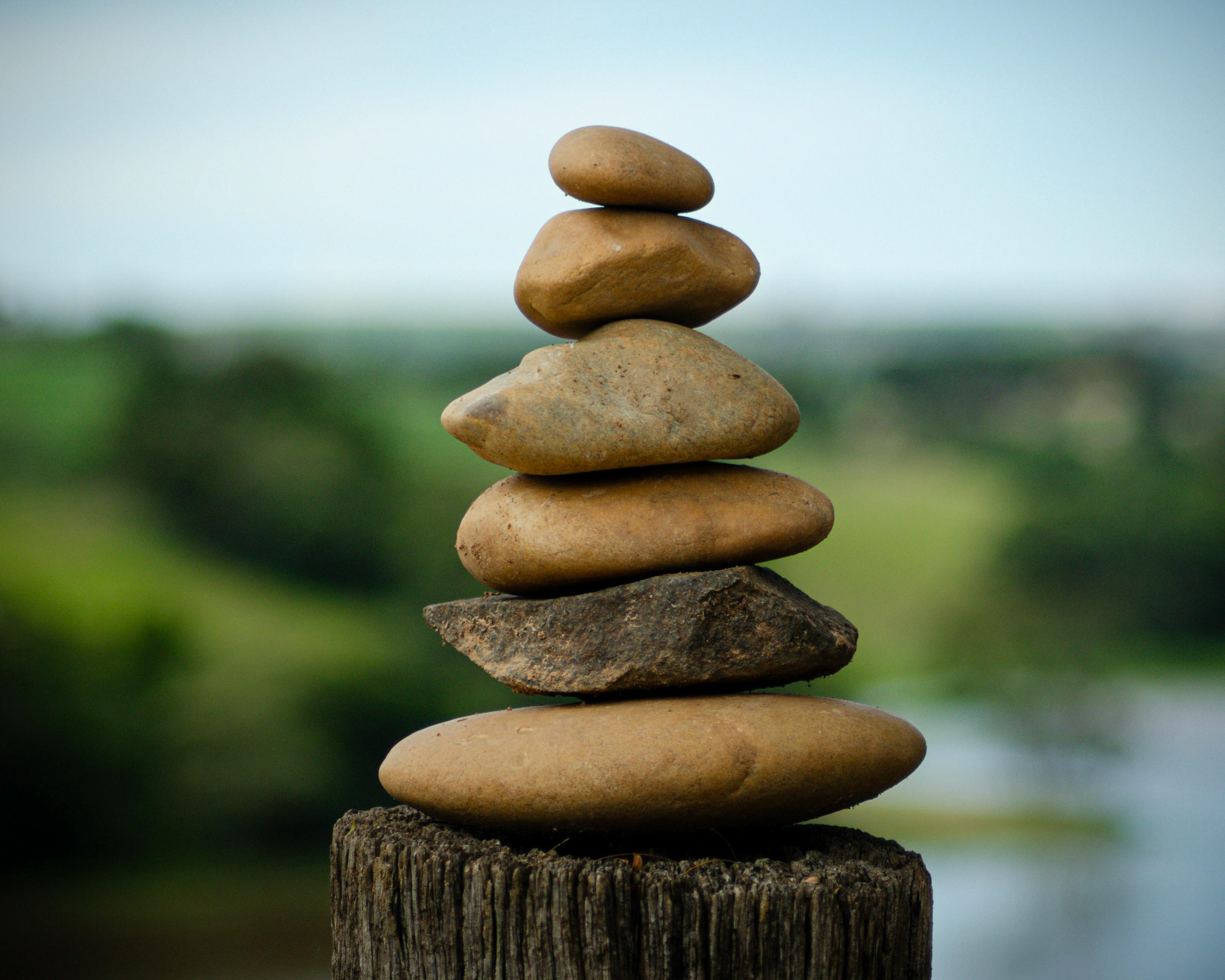 Self love and shadow work.